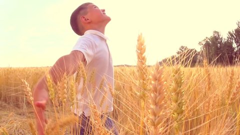 Little boy Spinning, smiling and touching wheat ears on the field. Kid raising hands, enjoying nature. Harvest concept. Harvesting. Slow motion 240 fps, HD 1080p, high speed camera 
