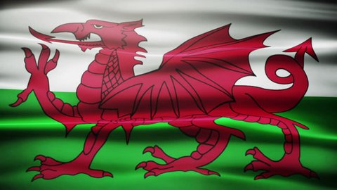 Waving Welsh flag.