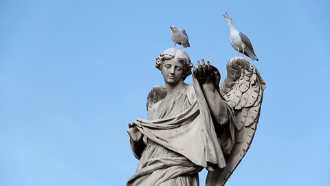 two pigeon over a statue in Rome