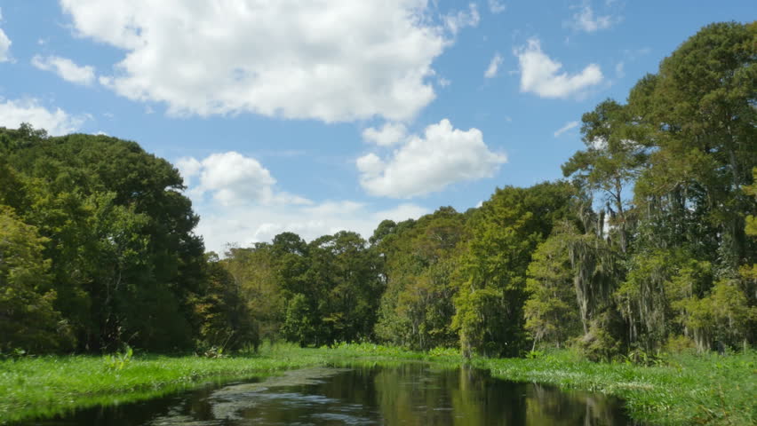 Airboat Ride in Wetland with Marsh Grass and Blue Skies