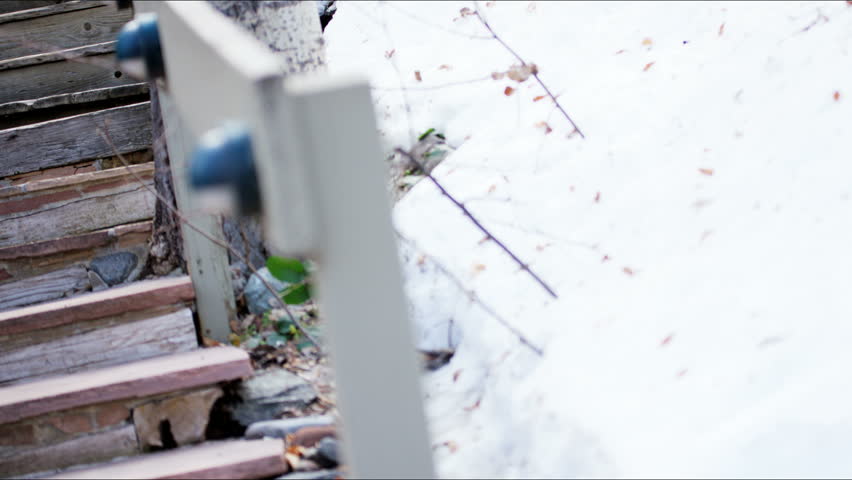 Aspen lifestyle leisure Caucasian American vacation people grandparents love nature anniversary care generation parent male female RED DRAGON