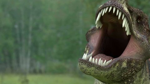 dinosaur 3d animation. tyrannosaur rex