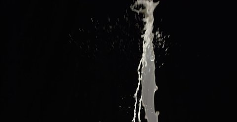 Milk shot on black to be used as BLOOD VECTOR / easily color correct for blood splatter and bullet, stab hits.  SPRAY #11