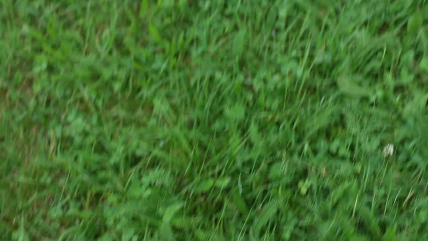 Young happy woman lying on the grass, top view, slow motion