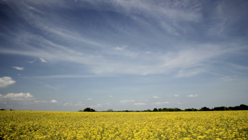 Timelapse of clouds over field of oilseed rape