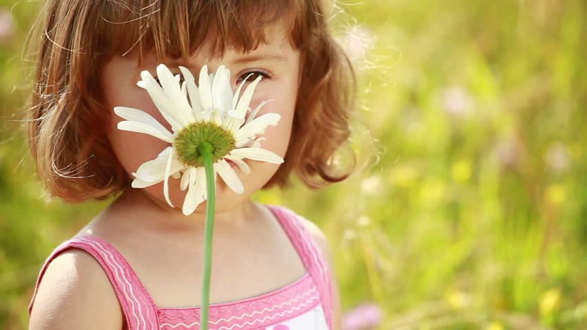 Little girl smelling a daisy flower in the meadow 
