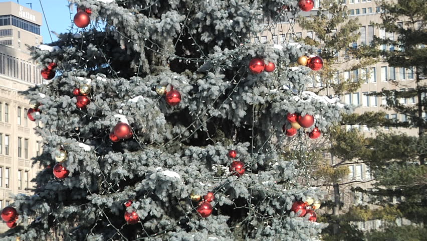 Decorated Christmas tree in the park.
Toronto, Canada. 