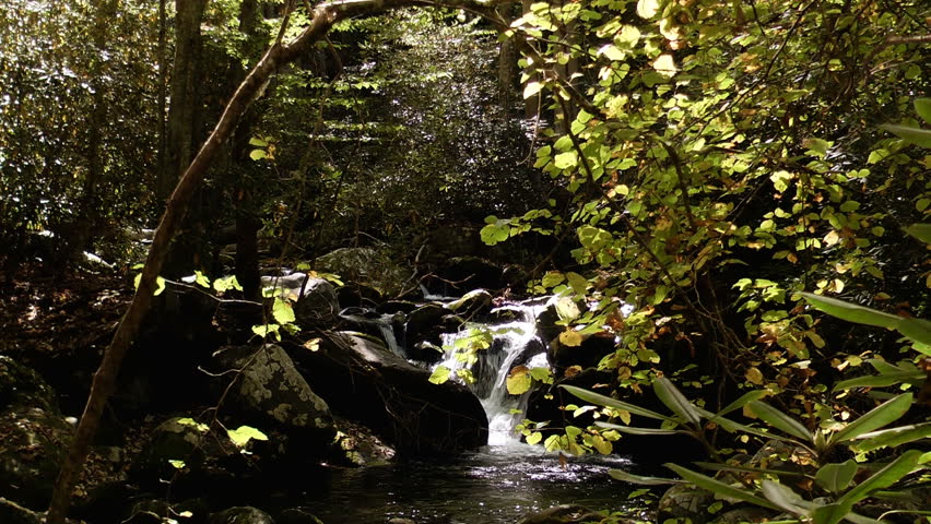 A waterfall nestled in an early autumn forest in the Great Smoky Mountain National Park in Tennessee