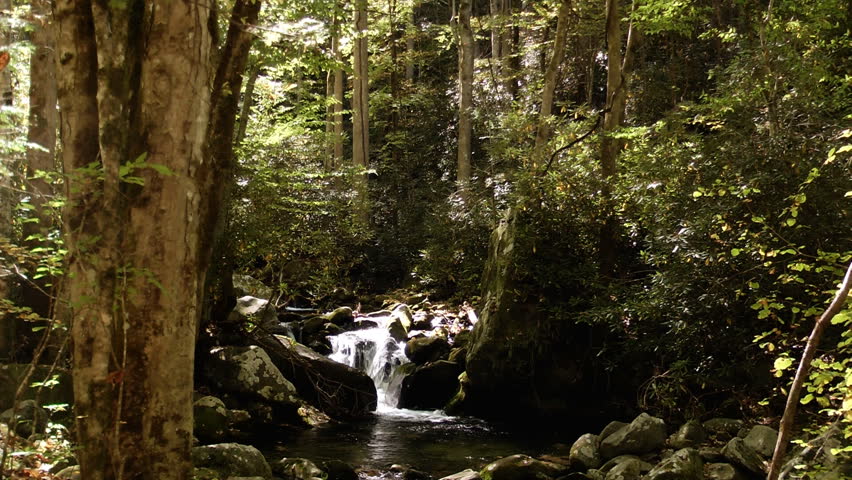 A waterfall nestled in an early autumn forest in the Great Smoky Mountain National Park in Tennessee