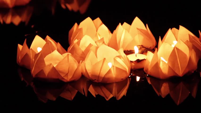 lotus flower paper lantern