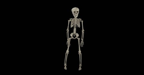 Happy Dancing Skeleton Halloween Isolated Alpha Stock Footage Video (100% Royalty-free) 12374579 | Shutterstock Happy Dancing Skeleton Halloween Isolated Alpha Stock Footage Video (100% Royalty-free) 12374579 | Shutterstock