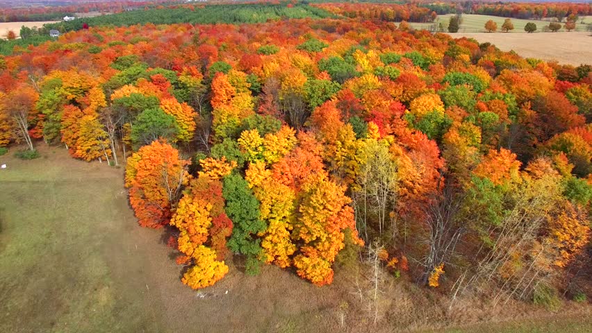Flying over rural forest, colorful autumn treetops, Door County, Wisconsin.