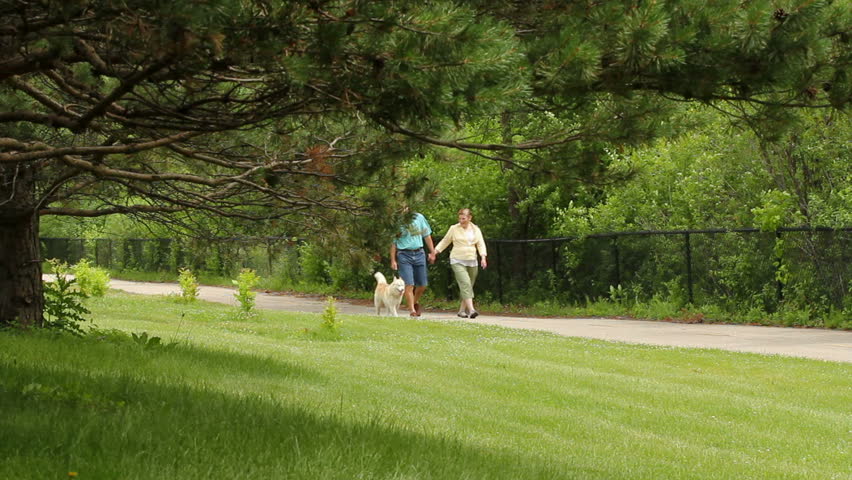 Senior couple walking dog at the park