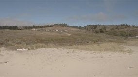 Footage of Gazos Creek in San Mateo County in Northern California. Scene opens with camera pointed towards the sand and gradually raises as the camera speeds forward into a flock of seagulls.