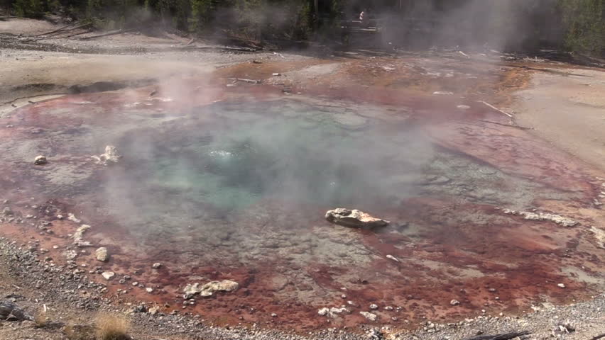 Hot Spring Norris Geyser Basin Yellowstone National Park