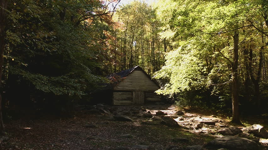 A historic,weathered cabin nestled in the woods of the Great Smoky Mountains in the shadow of autumn trees