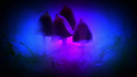 Magic mushrooms grass macro glowing light blue purple 360 pan artistic 4k uhd