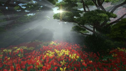 Magic forest with colorful tulips, sun shinning through trees, pan and tilt