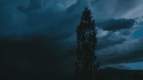 Storm with tree in the foreground - Powered by Shutterstock - Get 15% off with code: PIKWIZARD15
