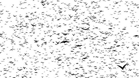 A flock of flying birds forms the witch flying on the Sabbath.
3D flock of birds, presentation for Halloween