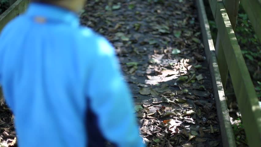 Kid walking slowly in a park crossing a wooden bridge covered of withered leaves.