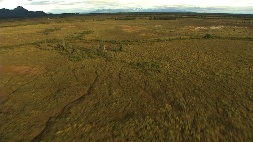 Aerial Alaska USA National Park Plain delta vegetation