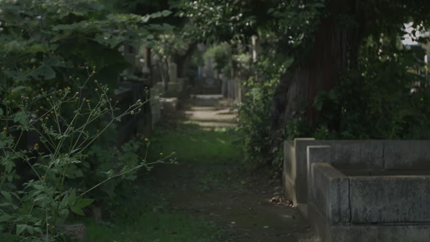 Yanaka is one of the oldest grave yards in Tokyo. Located in Ueno, Japan, this cemetery is home to ancient markers, trees and traditional Japanese culture.