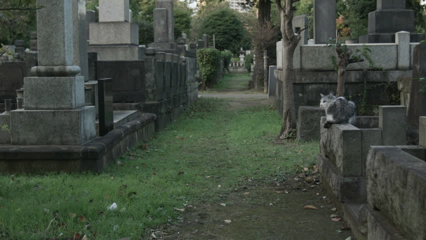 Yanaka is one of the oldest grave yards in Tokyo. Located in Ueno, Japan, this cemetery is home to ancient markers, trees and traditional Japanese culture.