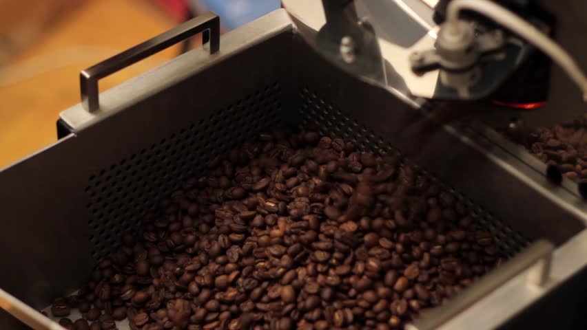 The freshly roasted coffee beans from a large coffee roaster being poured into the cooling cylinder. Proffesional barista and coffee beans.