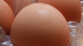 Plastic egg box with lot of organic eggs in the row 4K 2160p 30fps UHD slow tilting footage - Plastic eggbox container with eggs in line 4K 3840X2160 UltraHD tilt video