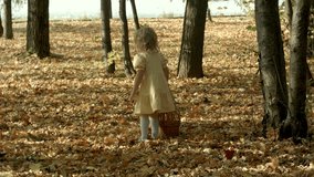 Girl with a basket full of leaves at the autumn park. Shot on BMCC RAW with high dynamic range. You can use it e.g in your video, documentalistic, reporting, family, music video, commercial video.