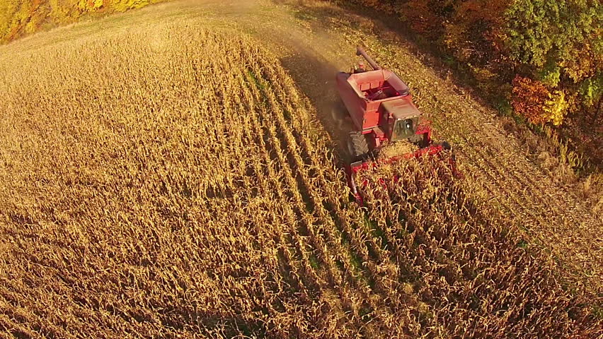 aerial footage corn field harvest on Stock Footage Video (100% Royalty ...