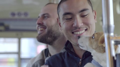 Closeup Of Gay Couple Riding Street Car With Dog, Asian Man Gets Kisses From His Dog And Boyfriend, Cute Video stock