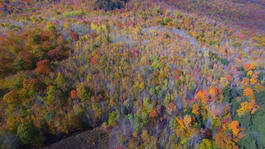Aerial drone video of fall foilage