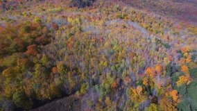 Aerial drone video of fall foilage