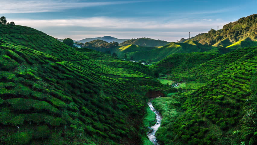 Dawn over tea plantations in Malaysian mountains Cameron Highlands
4K timelapse