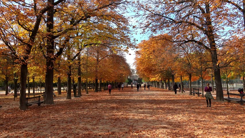 Luxembourg Gardens In Paris France Stock Footage Video 100 Royalty Free 12505370 Shutterstock luxembourg gardens in paris france stock footage video 100 royalty free 12505370 shutterstock