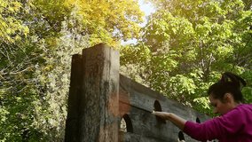 A young woman jumps a wooden barrier in slow motion, The Slow Motion of Skipping a Wooden Barrier at the Test Site, Slow Motion Video Clip