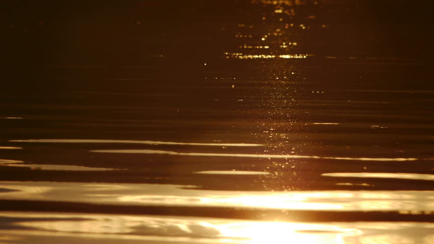 golden sunset in water reflection