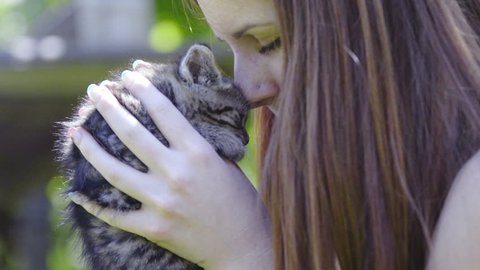 Woman petting and kissing cute baby cat close up 4K. Attractive woman holding cute kitten in front of face and give a kiss. Hugging cute little fluffy animal.