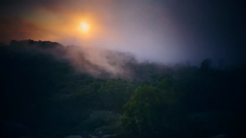 Cinemagraph Loop - Clouds moving over forest - motion photo