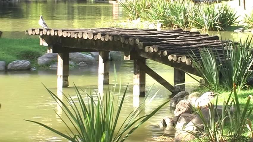 Wooden footbridge at the Japanese Garden of Buenos Aires (Arg.); SD 16:9, Panasonic NV-GS 500 (3 CCD)