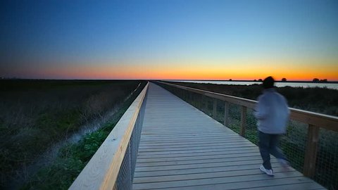 Cinemagraph Loop - Boardwalk goes through a valley - motion photo Vídeo Stock