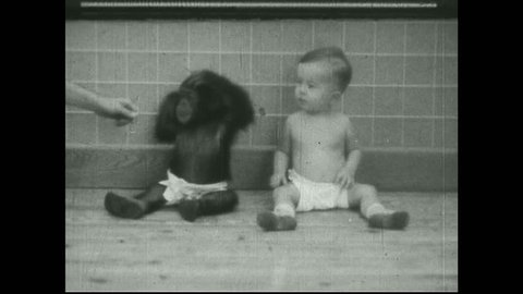 UNITED STATES 1930s – Baby human and baby chimpanzee sit next to each other.