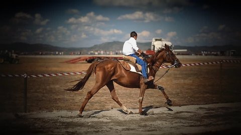 Bedouin Rides On Camel Through Sandy Stock Photo 331234730 | Shutterstock