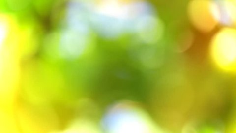 Cinemagraph Loop -Abstract movement of green leaves - motion photo