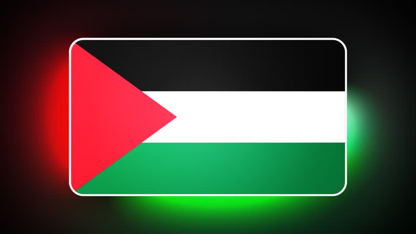 Palestine 3D flag - HD loop 