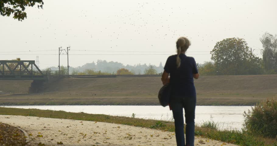 Woman walks on the road paved with paving slabs in the park. Back view. Bridge across the small river on the background.Bushes and green grass, lawn. Dry leaves lie on the road. Cloudy grey sky.