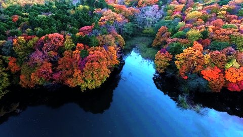 Aerial: pond of blue and autumnal forest
/ October 14, 2015 to the shooting in Japan of Forest Park /
Autumnal forest of eye color of the water of vivid pond, such as wake up and the golden age