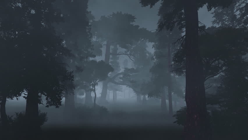 Featured image of post Scary Foggy Forest Background : Smoke atmospheric smoke 4k on black background.